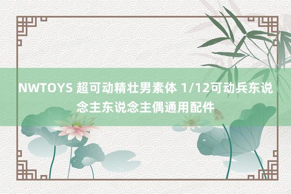 NWTOYS 超可动精壮男素体 1/12可动兵东说念主东说念主偶通用配件