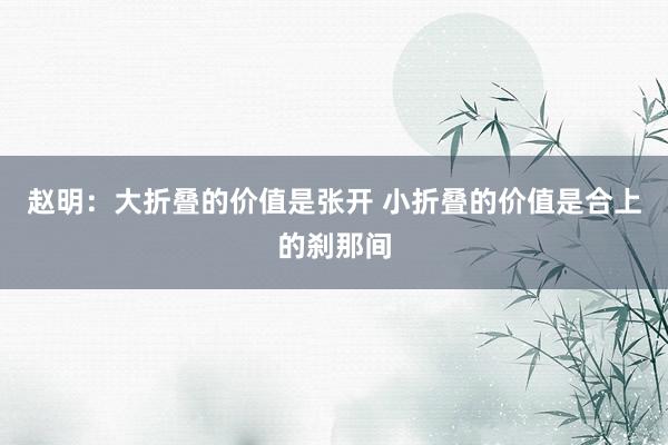 赵明：大折叠的价值是张开 小折叠的价值是合上的刹那间