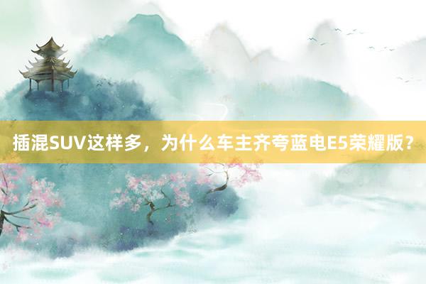 插混SUV这样多，为什么车主齐夸蓝电E5荣耀版？