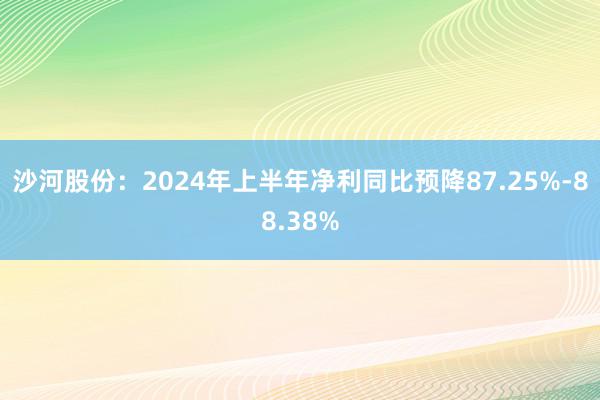 沙河股份：2024年上半年净利同比预降87.25%-88.38%