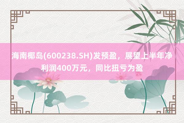 海南椰岛(600238.SH)发预盈，展望上半年净利润400万元，同比扭亏为盈