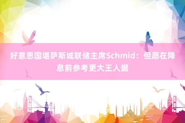 好意思国堪萨斯城联储主席Schmid：但愿在降息前参考更大王人据