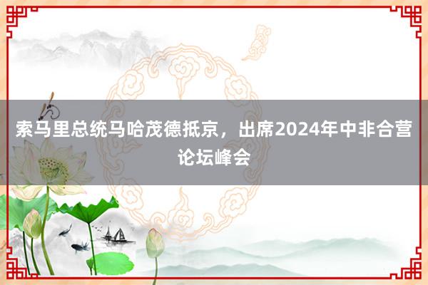 索马里总统马哈茂德抵京，出席2024年中非合营论坛峰会