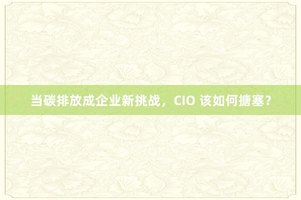 当碳排放成企业新挑战，CIO 该如何搪塞？