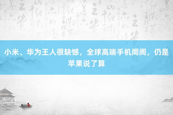 小米、华为王人很缺憾，全球高端手机阛阓，仍是苹果说了算