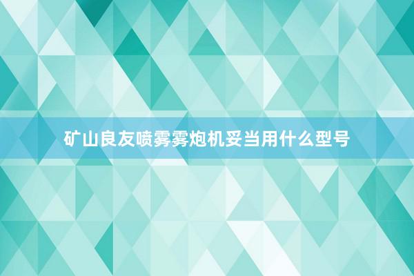 矿山良友喷雾雾炮机妥当用什么型号